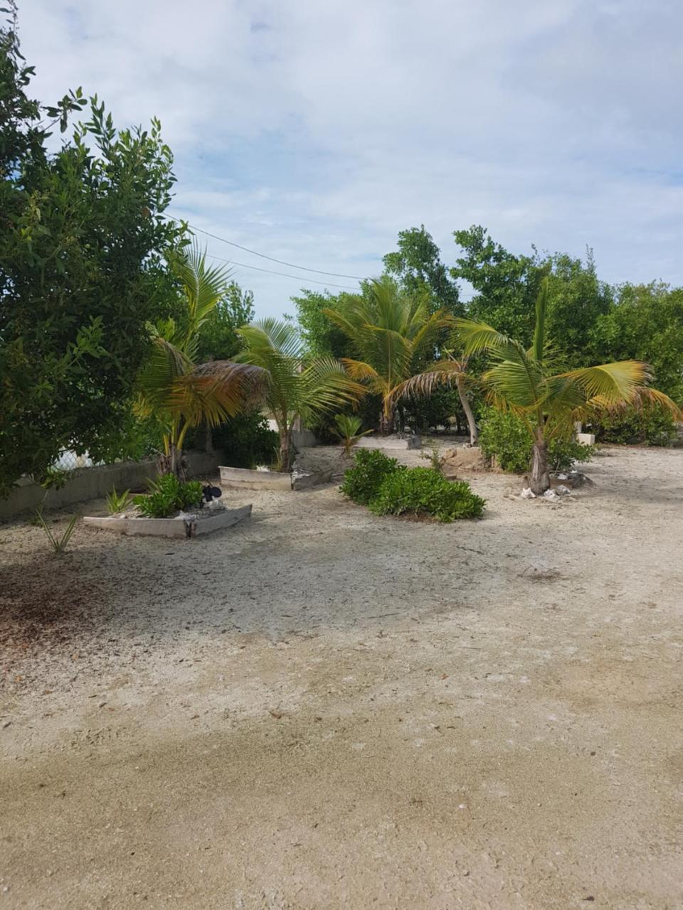 Trellis House Apartment Caye Caulker Exterior photo